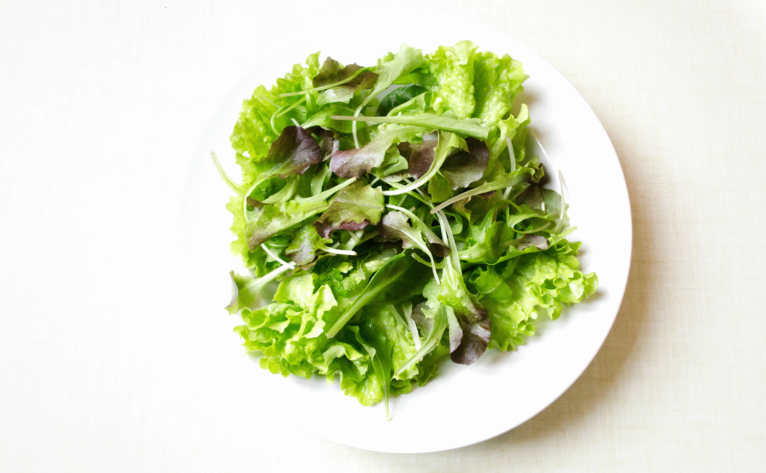salade-automne-vinaigre-de-cidre-sirop-erable-cranberries-pecan-pomme-crouton-mesclun-batavia-chevre-frais-mais thanksgiving salad